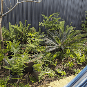 Sample Garden